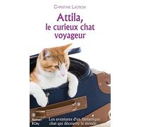 Attila, le curieux chat voyageur