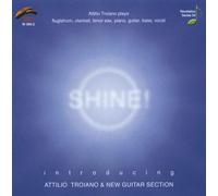 Attilio Troiano & New Guitar - Shine