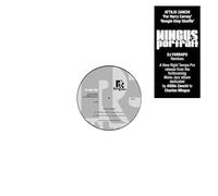 Attilio Zanchi - Mingus Portrait (DJ Farrapo Remixes)