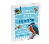 Comment Attirer Les Oiseaux Dans Son Jardin