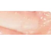 ATTITUDE Oceanly Sheer Lip Gloss Stick EWG Verified Titanium Dioxide-Free Vegan Makeup & Beauty Plastic-Free Silky Pink 3.4 grammes