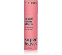 Attitude Super Leaves Lip Balm baume à lèvres Watermelon 8.5 g