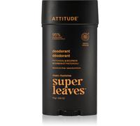 Attitude Super Leaves Men Deodorant déodorant pour homme 75 g