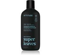 ATTITUDE Shampooing & Après-Shampooing 2 en 1 pour Homme, Cuir Chevelu Sensible, Ingrédients d’Origine Naturelle, Végane, Extrait de Saule & Menthe Poivrée, Parfum Eucalyptus & Sauge, 415 mL