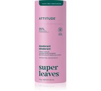 Attitude Super Leaves Natural Deodorant déodorant solide sans aluminium Coconut & Wild Berries 75 g