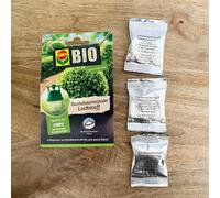 Attractif pyrale du buis bio