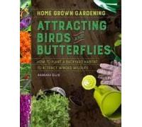 Attracting Birds And Butterflies