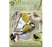 Attracting British Birds [Dvd] [2006]