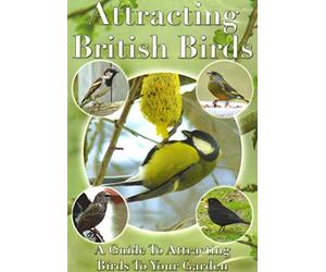 Attracting British Birds [Import]
