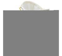 Attrape-abeilles | Sac télescopique, outils d'abeilles pour la cage à abeilles avec verrouillable, outil de recrutement d'abeilles portable pour outils de collecte d'abeilles en plein air