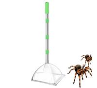 Attrape-araignées pour l'intérieur | Collecteur d'araignées humain avec longue poignée | Piège réglable sans pour fenêtre de cuisine, garage, camping, appartement, chambre à coucher