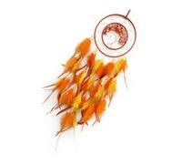 Attrape-rêves Pendentif Pompons à Plumes avec Perles Brillantes dans Le pour décoration Murale de Chambre ou de Salon Attrape-rêves en Pierre de