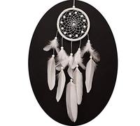 Attrape Rêves, Plumes Capteur de Rêves,Histoires en Mythologie Amérindienne pour Mur Décoration à Suspendre Craft Cadeau