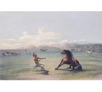 Attraper le cheval sauvage. From Catlin's North American Indian Portfolio publié à Londres 1844 par l'artiste aventurier américain George Catlin 1796 - 1872. Au cours de nombreux voyages, Catlin a
