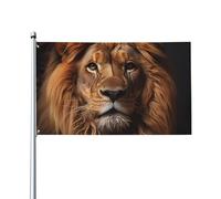 Attrayant et choquant. Dlxw 0,9 x 1,5 m Drapeau d'extérieur avec tête en toile, résistant aux UV, excellent savoir-faire, superbe et éblouissant