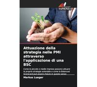 Attuazione della strategia nelle PMI attraverso l'applicazione di una BSC