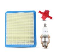 Atunee Filtre à Air et Bougie d'Allumage pour Quantum 625 650 675 Tondeuses à Gazon avec Moteur pour Champion RJ19LM / NGK B2LM Remplace 491588 399959 491588S