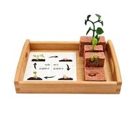 atyzqsm Croissance et Ensemble cognitif Montessori, modèle du Cycle de Vie | Figurines d'animaux de l'aire de langage Montessori Ensemble de modèles biologiques du cycle de vie des animaux réalistes