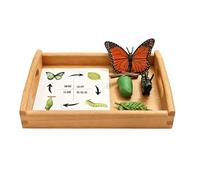atyzqsm Croissance et Ensemble cognitif Montessori, modèle du Cycle de Vie | Figurines d'animaux de l'aire de langage Montessori Ensemble de modèles biologiques du cycle de vie des animaux réalistes