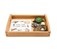 atyzqsm Croissance et Ensemble cognitif Montessori, modèle du Cycle de Vie | Figurines d'animaux de l'aire de langage Montessori Ensemble de modèles biologiques du cycle de vie des animaux réalistes