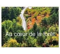 Au coeur de la forêt (Calendrier mural 2027 DIN A4 vertical), CALVENDO calendrier mensuel: Balade photographique en forêt