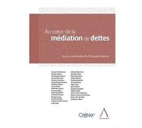 Au Coeur De La Médiation De Dettes