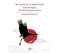 Au coeur de la méditation bouddhique : Vers l'éveil sans attaches ni limites