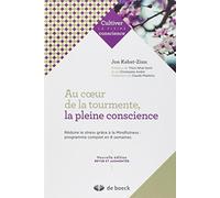Au coeur de la tourmente, la pleine consicence : Réduire le stress grâce à la Mindfulness - programme complet en 8 semaines