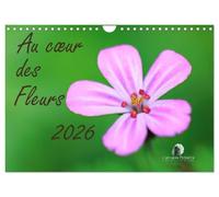 Au coeur des fleurs (Calendrier mural 2026 DIN A4 vertical), CALVENDO calendrier mensuel: Une immersion délicate au plus près des pétales, où chaque ... vibrantes et la poésie cachée de la nature.