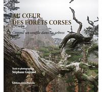 Au coeur des forêts corses : Comme un souffle dans les arbres