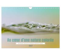 Au coeur d'une nature colorée (Calendrier mural 2027 DIN A4 vertical), CALVENDO calendrier mensuel: Notre environnement quotidien vu en macro