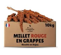 Au Comptoir de Noé Millet Rouge en Grappes 10kg, Alimentation pour Oiseaux, Récolté en France en Anjou, 100% Naturel, Millet Français pour Développer la Vitalité, Graines pour Oiseau Domestique