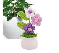 au Crochet Décoration Faite Main en Dégradé Coloré