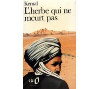 Au-delà de la montagne, III : L'herbe qui ne meurt pas