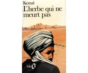 Au-delà de la montagne, III : L'herbe qui ne meurt pas