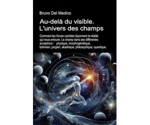 Au-delà du visible. L'univers des champs.: Comment les forces cachées façonnent la réalité qui nous entoure. Le champ dans ses différentes acceptions.