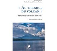"Au-dessous du volcan" Rencontres littéraires de Goma Maëline Le Lay (Auteur), Alexandre Mirlesse (Auteur)