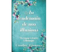 Au lendemain de nos illusions: Un voyage à travers l'Allemagne
