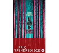 Au nom de Chris - Claudine Desmarteau - Gallimard jeunesse - Poche - Roman adolescent