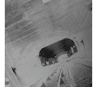 Au nom du nom: Les surfaces sensibles du graffiti