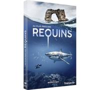 Au Plus Près Des Requins