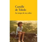 Au temps de ma colère Camille de Toledo (Auteur)