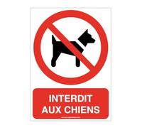 AUA SIGNALETIQUE - Autocollant Interdit aux chiens P021-AI - 75x105 mm, Vinyl adhésif
