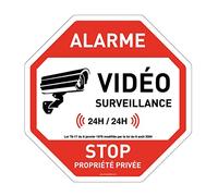 AUA SIGNALETIQUE - Panneau Octogonal Stop Propriété Privée sous Alarme Vidéo Surveillance - Ø 300 mm, Vinyl adhésif