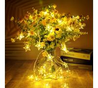 AUAUY Guirlande Lumineuse à Piles, 6M 40 LED Fairy Lights, 2 Modes Monochrome et Brillant Guirlande Lumineuse Intérieur, Décoration de Noël Mariage Anniversaire Fête Jardin Chambre-Blanc Chaud