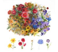 AUAUY Lot de 160 autocollants en forme de fleur pour scrapbooking - Autocollants floraux en PET imperméables et transparents - Esthétique pour journal, artisanat, enveloppes, cartes, ordinateur