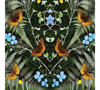 Jean-Michel Blais - Aubades [Import]