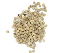 Aube-Gourmet Poivre blanc de Malabar distributeur PET 1/2l de 350 grammes