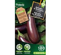 Aubergine de Barbentane - Protecta Graines paysannes - Env. 2 gr | 300-Protecta