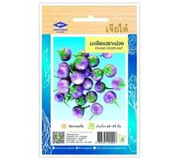 Aubergine Thaï Violette, Round Eggplant, Graines de légumes - Sachet de 200 Graines, Aubergines Thaïlandais CHIA TAI
